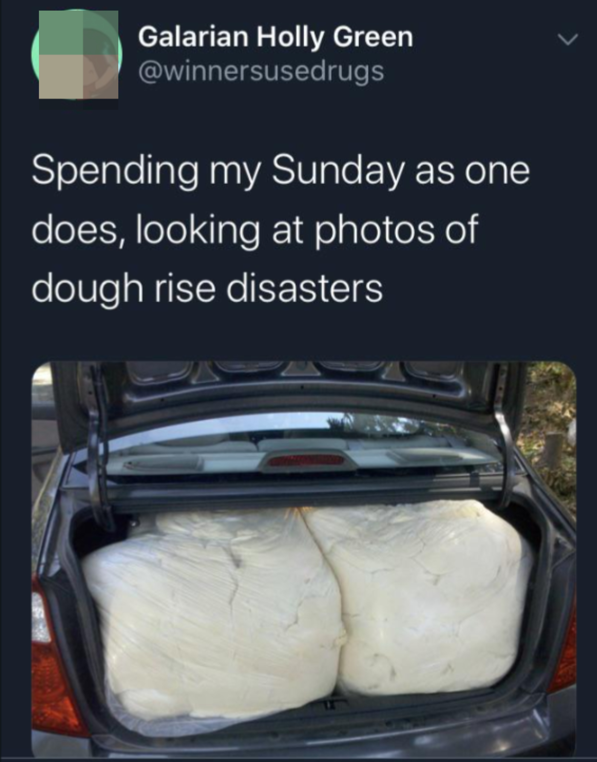 dough in a trunk