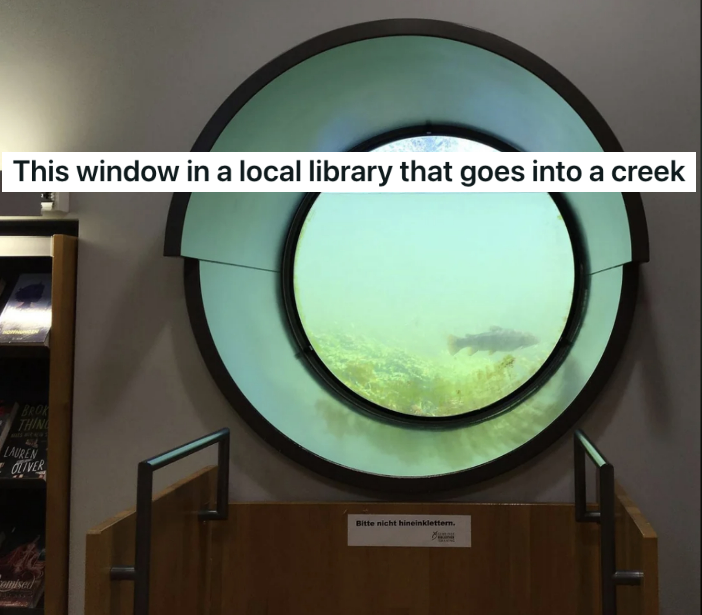 &quot;This window in a local library that goes into a creek&quot;