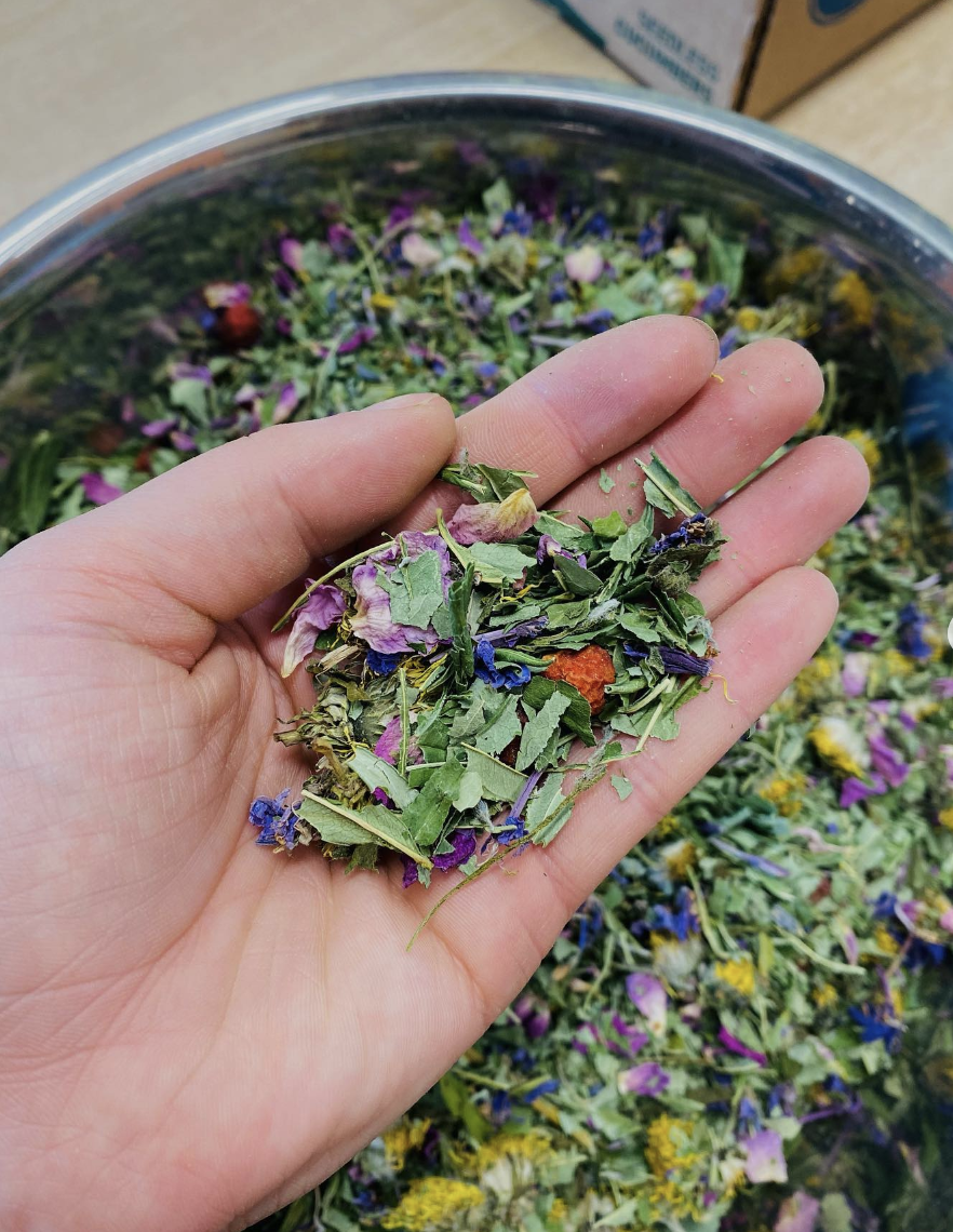 A hand holds a collection of herbs and cut leaves.