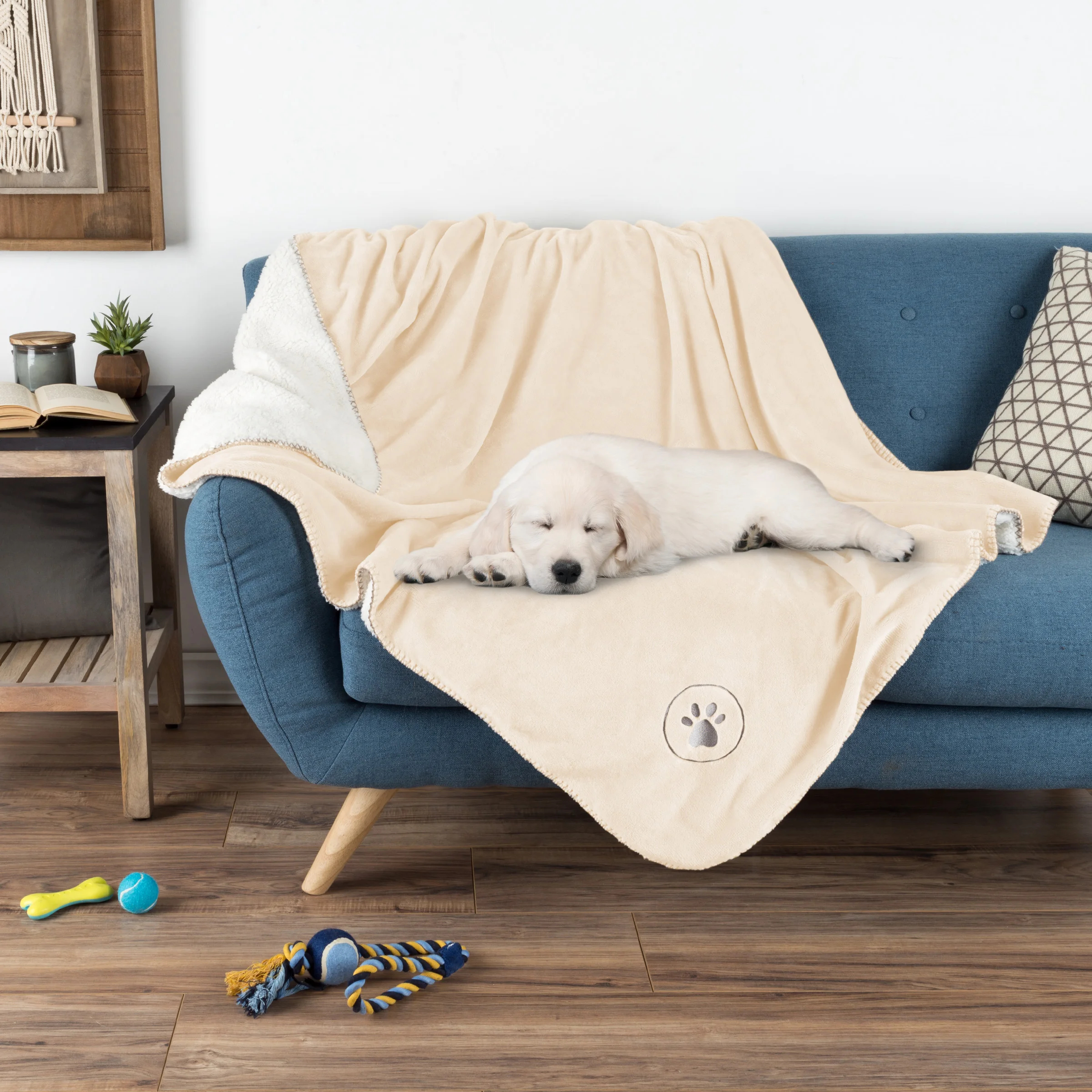 a dog on the blanket in cream over a couch