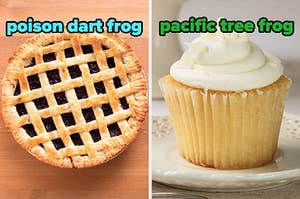 On the left, a blueberry pie labeled poison dart frog, and on the right, a vanilla cupcake labeled pacific tree frog