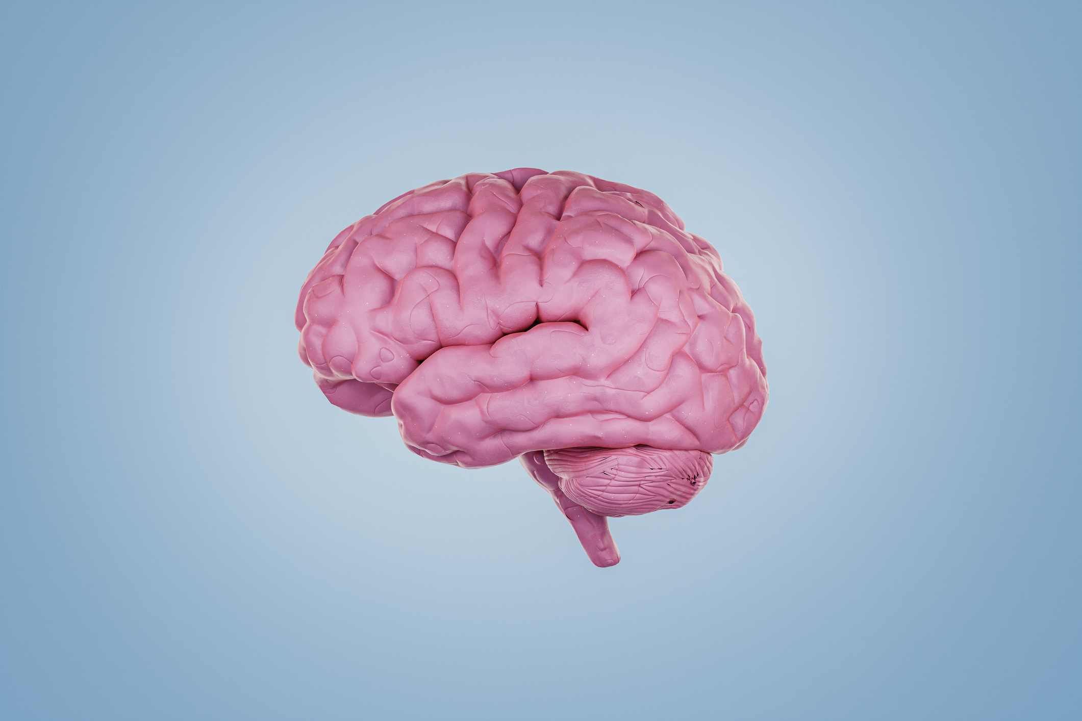 digitally generated computer graphic illustration image of a human brain with a modeling clay texture