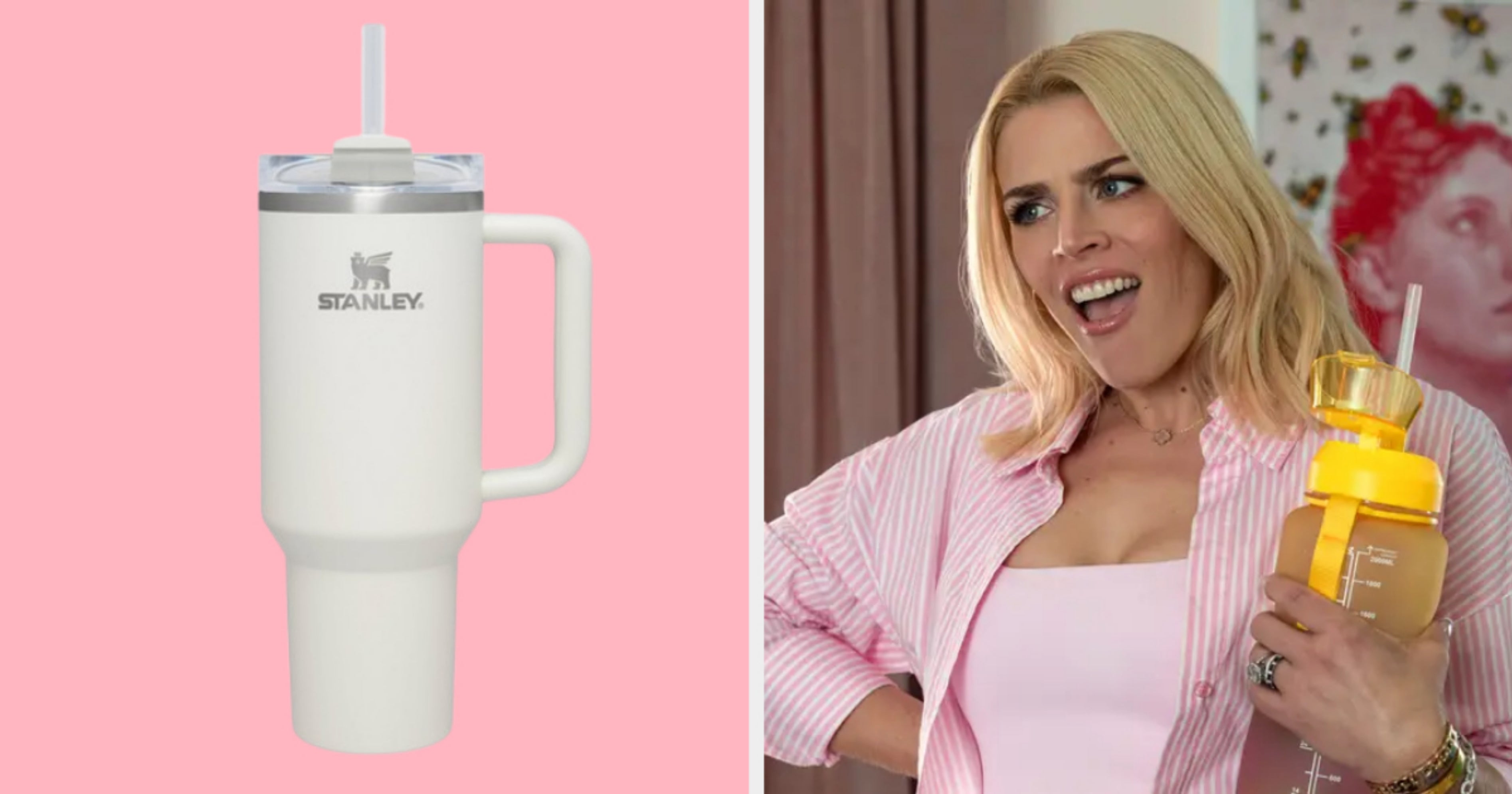 What Water Bottle Am I? Water Bottle Quiz