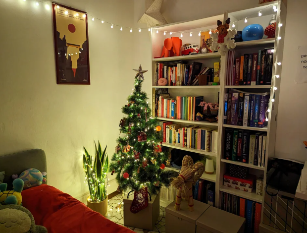 Indoor Christmas lights and tree