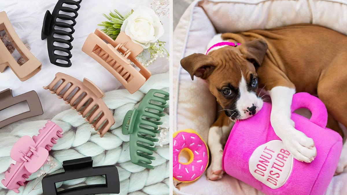 Donut disturb dog clearance toy