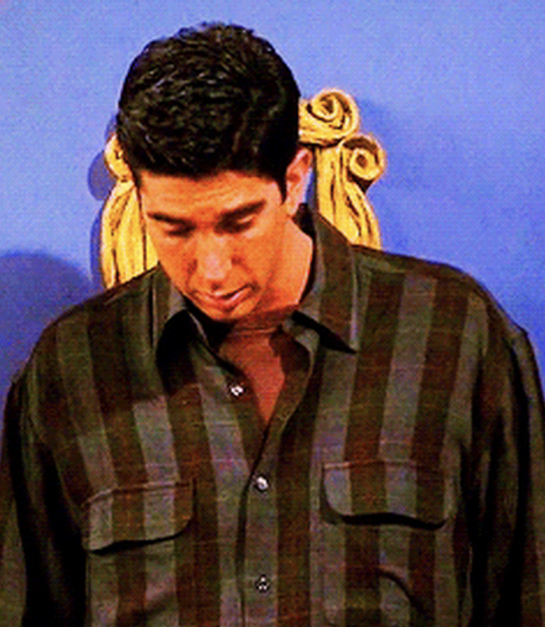 David Schwimmer on &quot;Friends&quot;