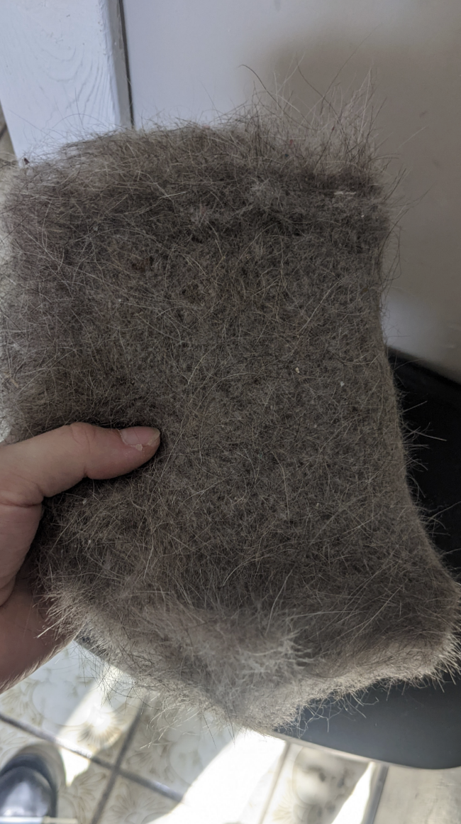 someone holding a bunch of lint