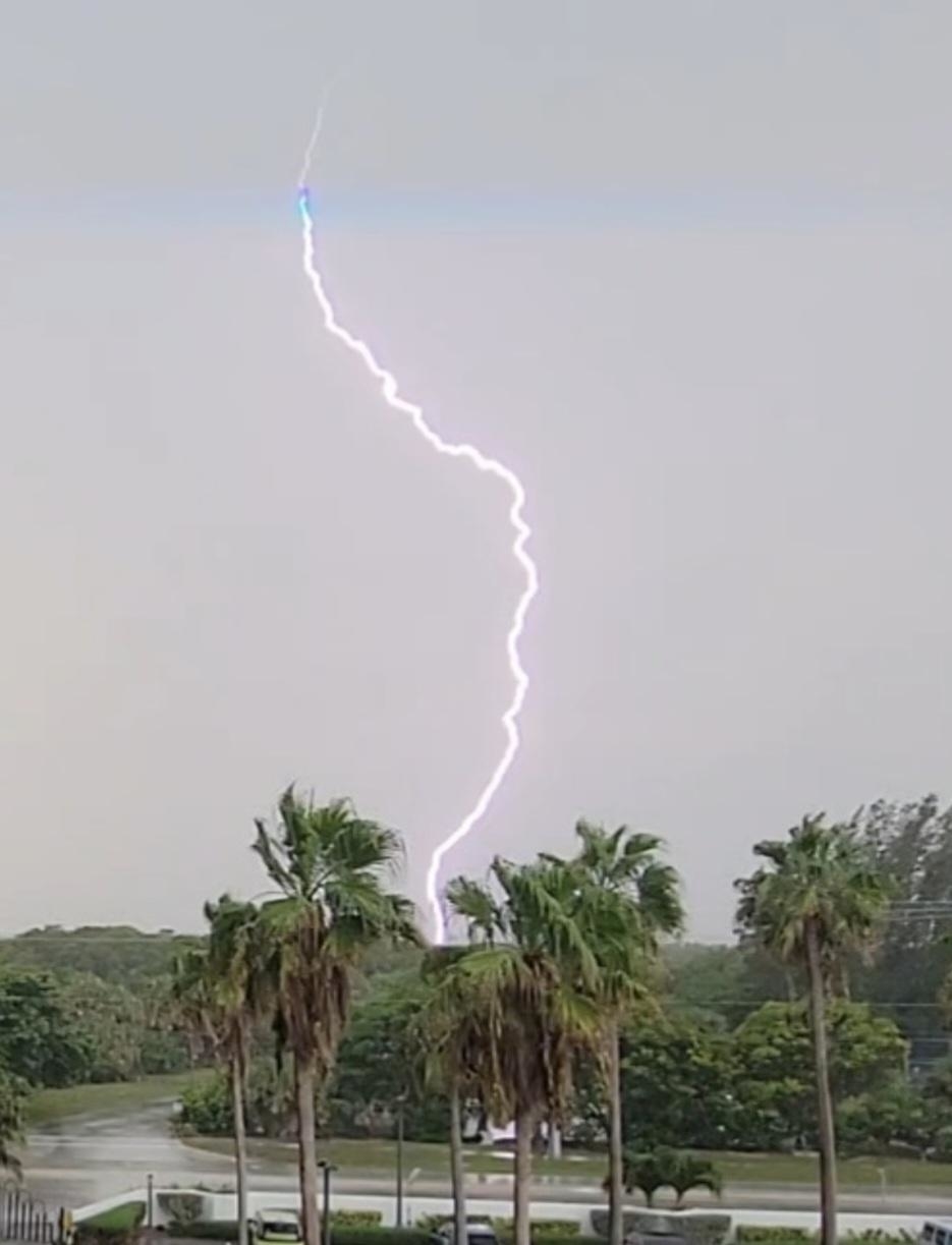 lightning striking a cloudy sky and palm trees