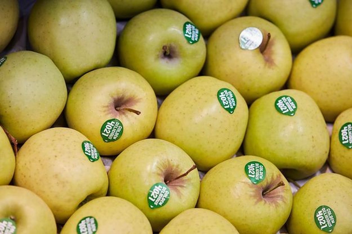 Fruit Traders Fresh Honeycrisp Apple - Medium to Large Size [Set 0F 3]