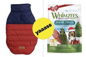 Pet puffer jacket versus whimzees dental treats