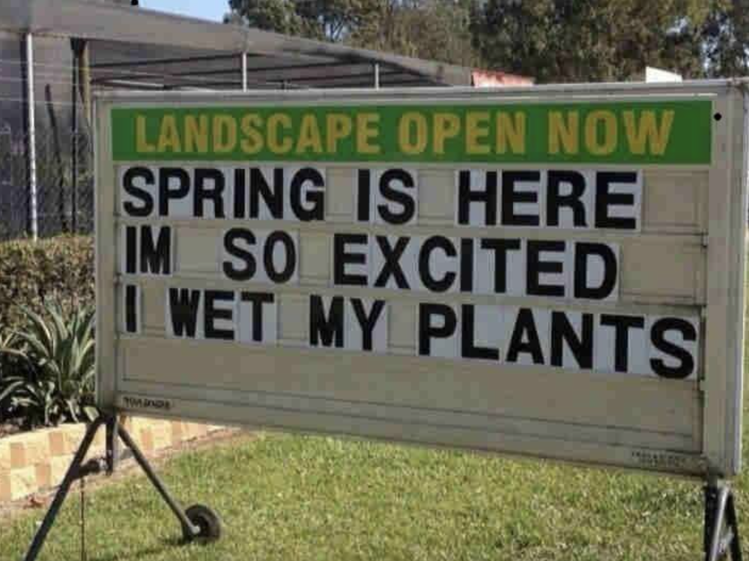 &quot;Spring is here Im so excited I wet my plants&quot;