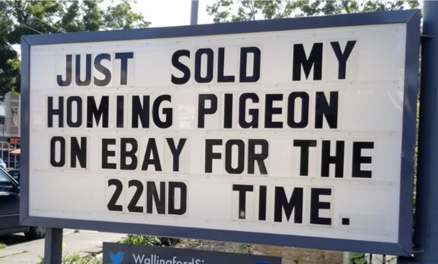 &quot;Just sold my homing pigeon on eBay for the 22nd time.&quot;