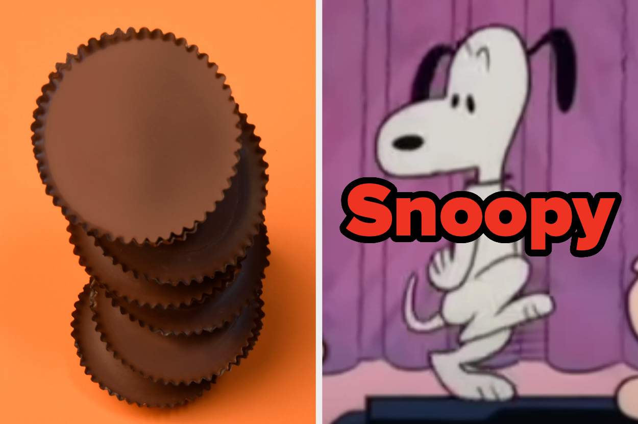 Cookies Of Snoopy - Chocolate Chip