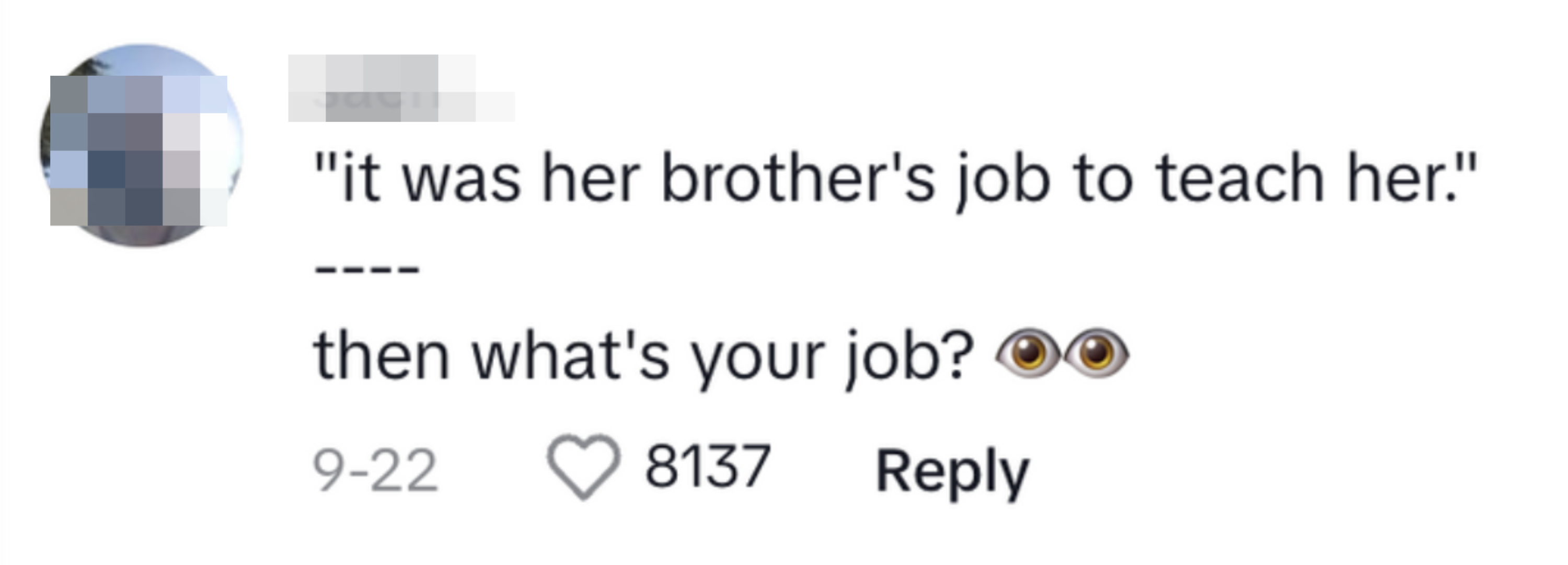A commenter writing &quot;Then what&#x27;s your job?&quot; about the parent who blamed the brother