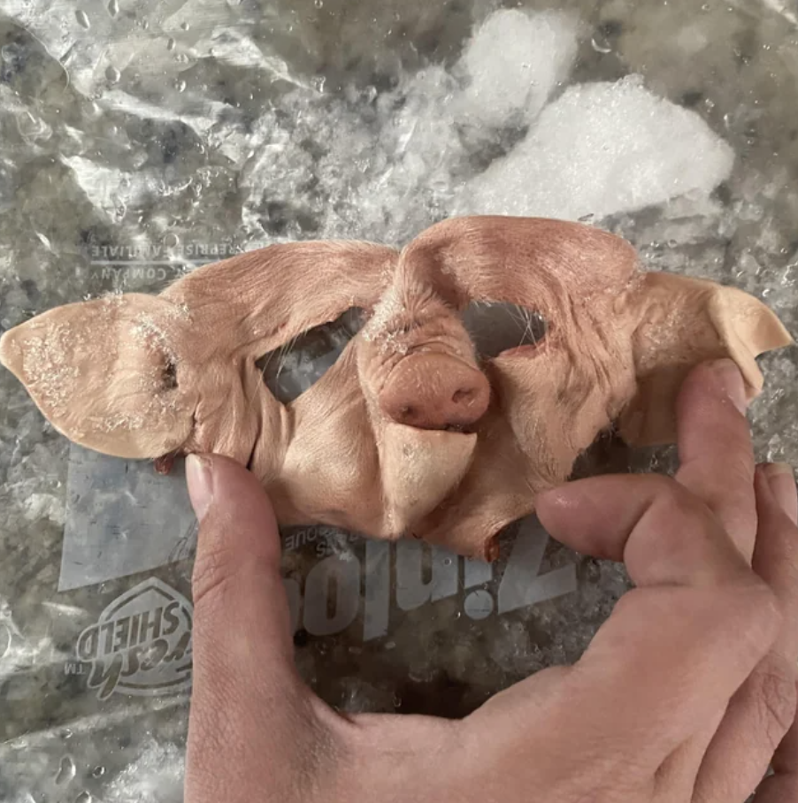 a frozen pig face
