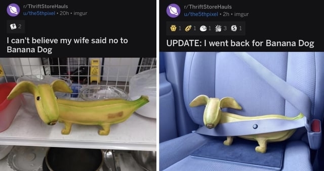 first photo of a banana dog decoration says i can&#x27;t believe my wife said no to banana dog and the second photo has the decor strapped in a car with text, update i went back for banana dog