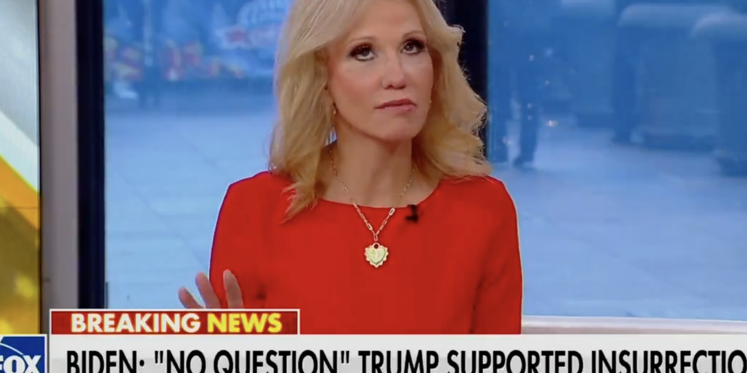 Kellyanne Conway Goes Viral Describing Democrat's Daily Schedule - Vimarsana News