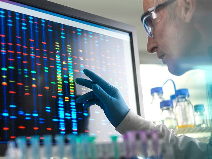 A scientist looking at DNA on a screen