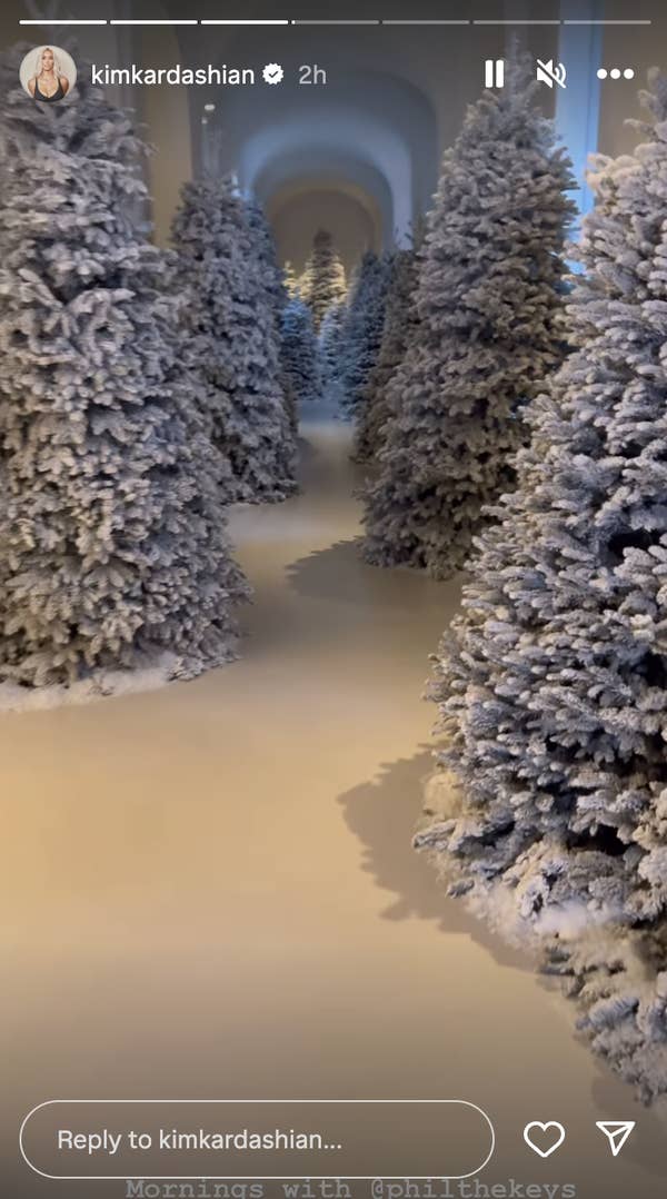 Kim&#x27;s eerie hallways with many Christmas trees