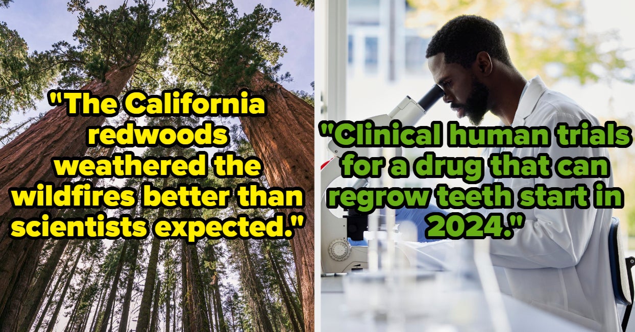 18 Good News Stories You Might Have Missed In 2023