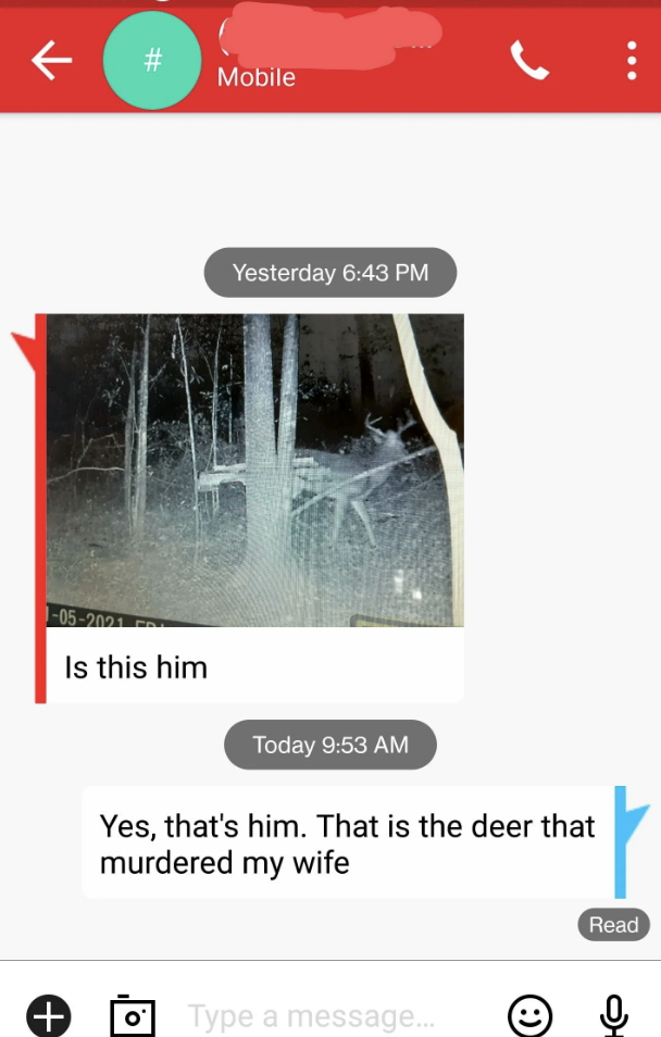 &quot;That is the deer that murdered my wife&quot;