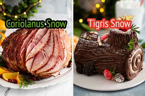 On the left, a Christmas ham labeled Coriolanus Snow, and on the right, a yule log cake labeled Tigris Snow
