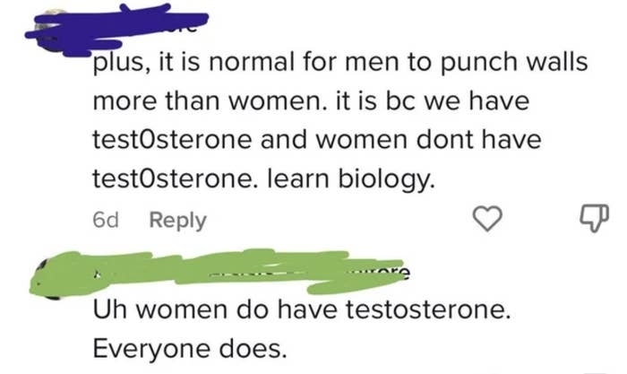 &quot;It&#x27;s normal for men to punch walls because we have testosterone&quot; &quot;Uh everyone has testosterone&quot;