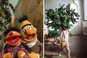 bert and ernie and a kid carrying a christmas tree