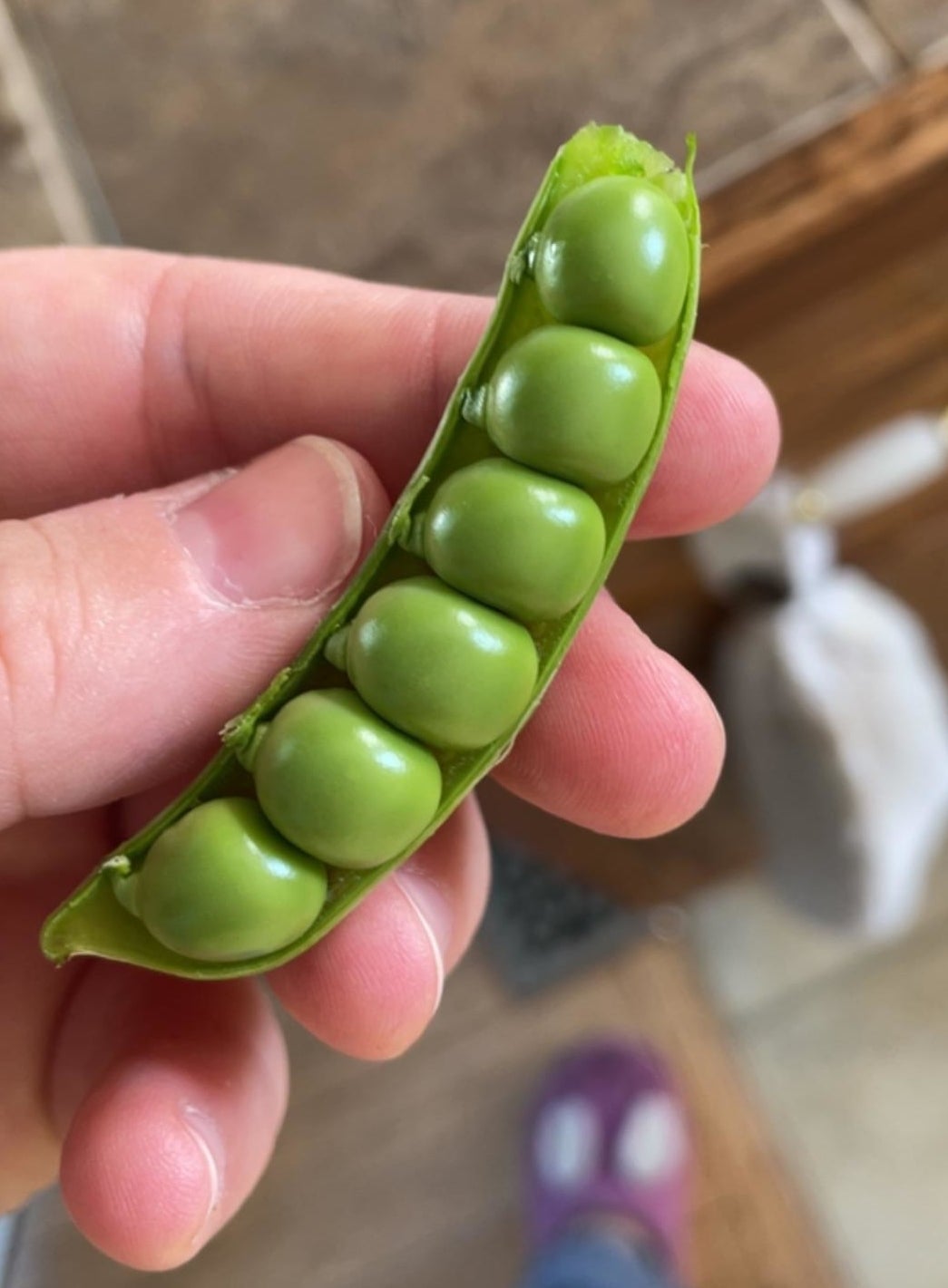 Someone holding some peas