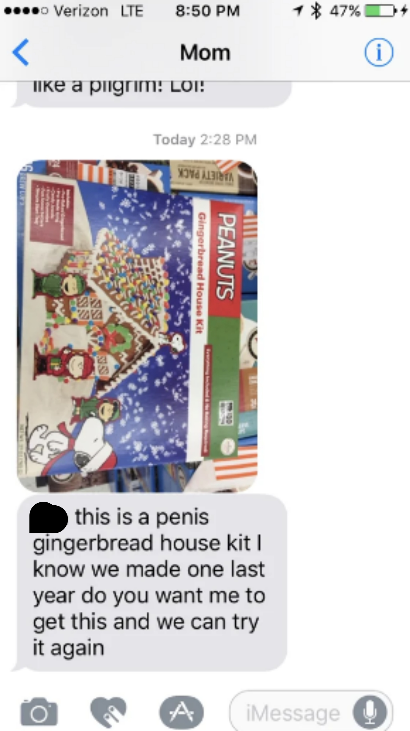 &quot;this is a penis gingerbread house kit&quot;