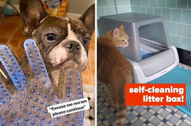 31 Products To Make Pet Parents Lives So Much Easier - Vimarsana News