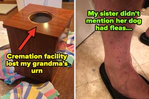 empty urn captioned "Cremation facility lost my grandma's urn" and flea bites on ankle captioned "My sister didn't mention her dog had fleas..."