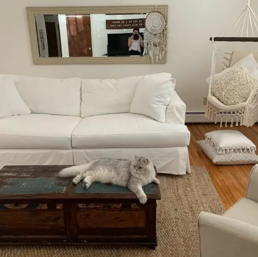 white cloth couch in living room with cat in front sitting on coffee table