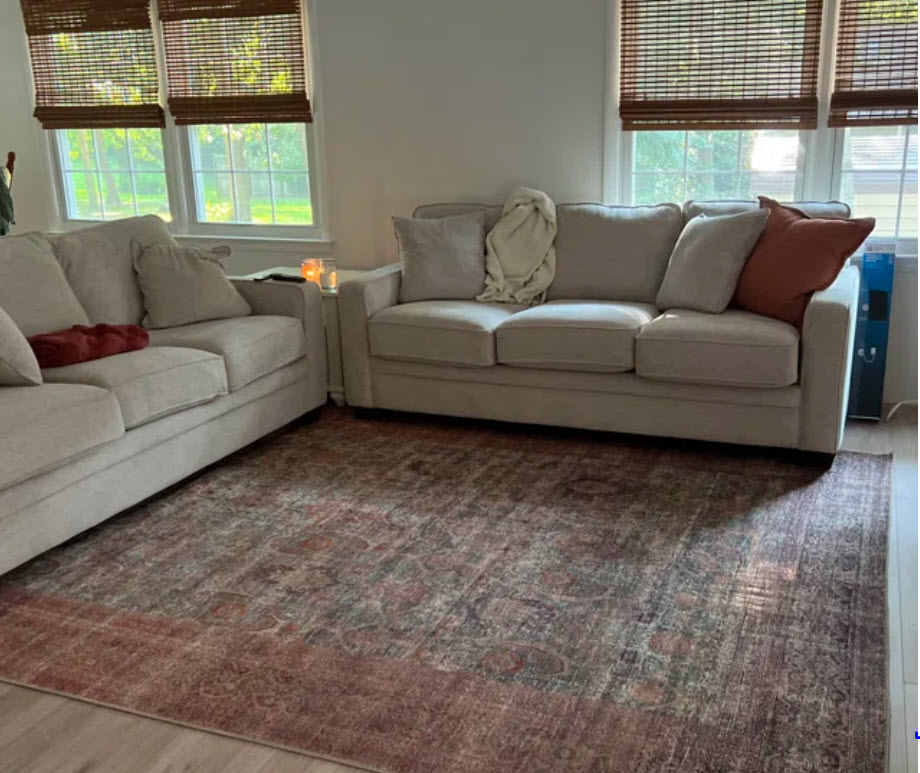 red and patterned area rug under two couches