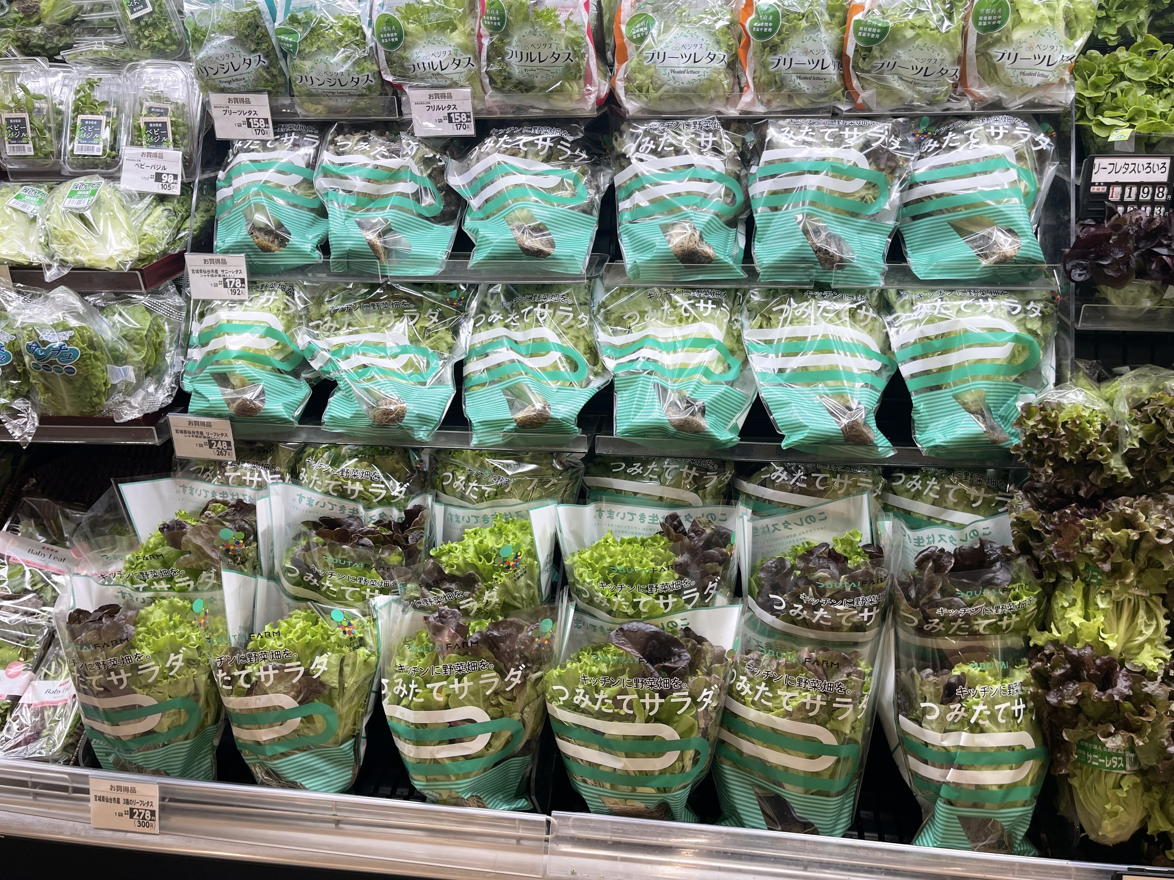 店頭に並ぶつみたてサラダ / 舞台ファームより提供