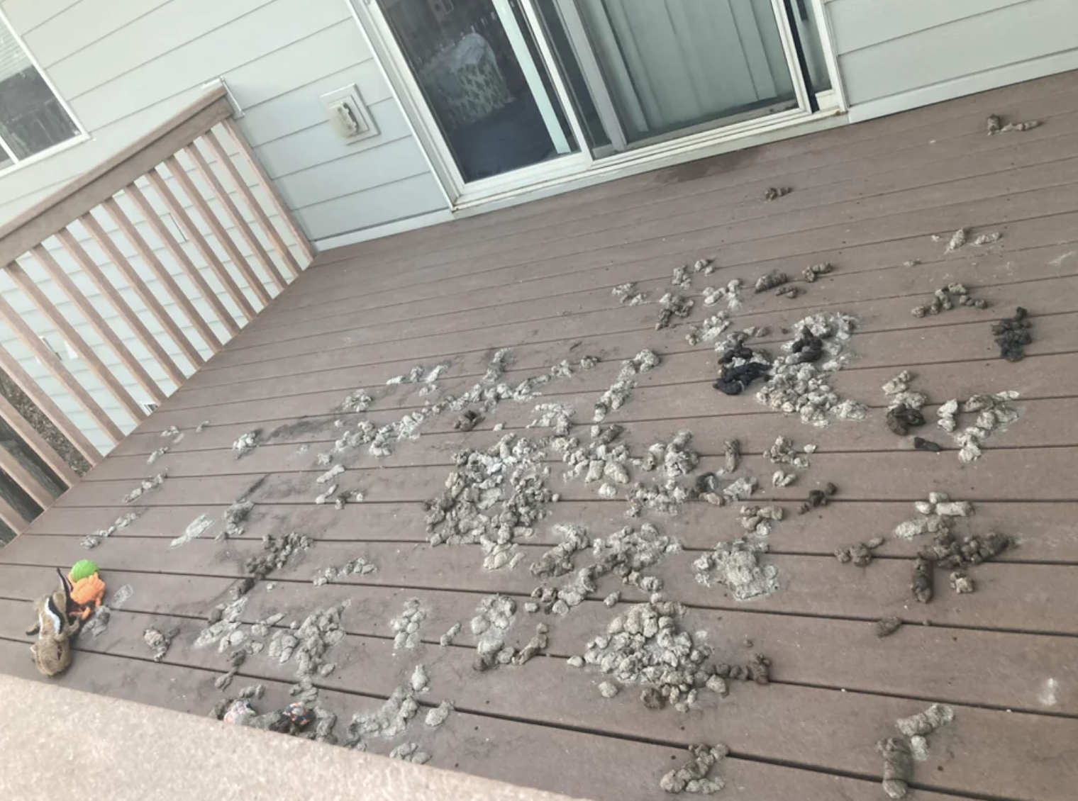 dried and old dog poop covering the deck