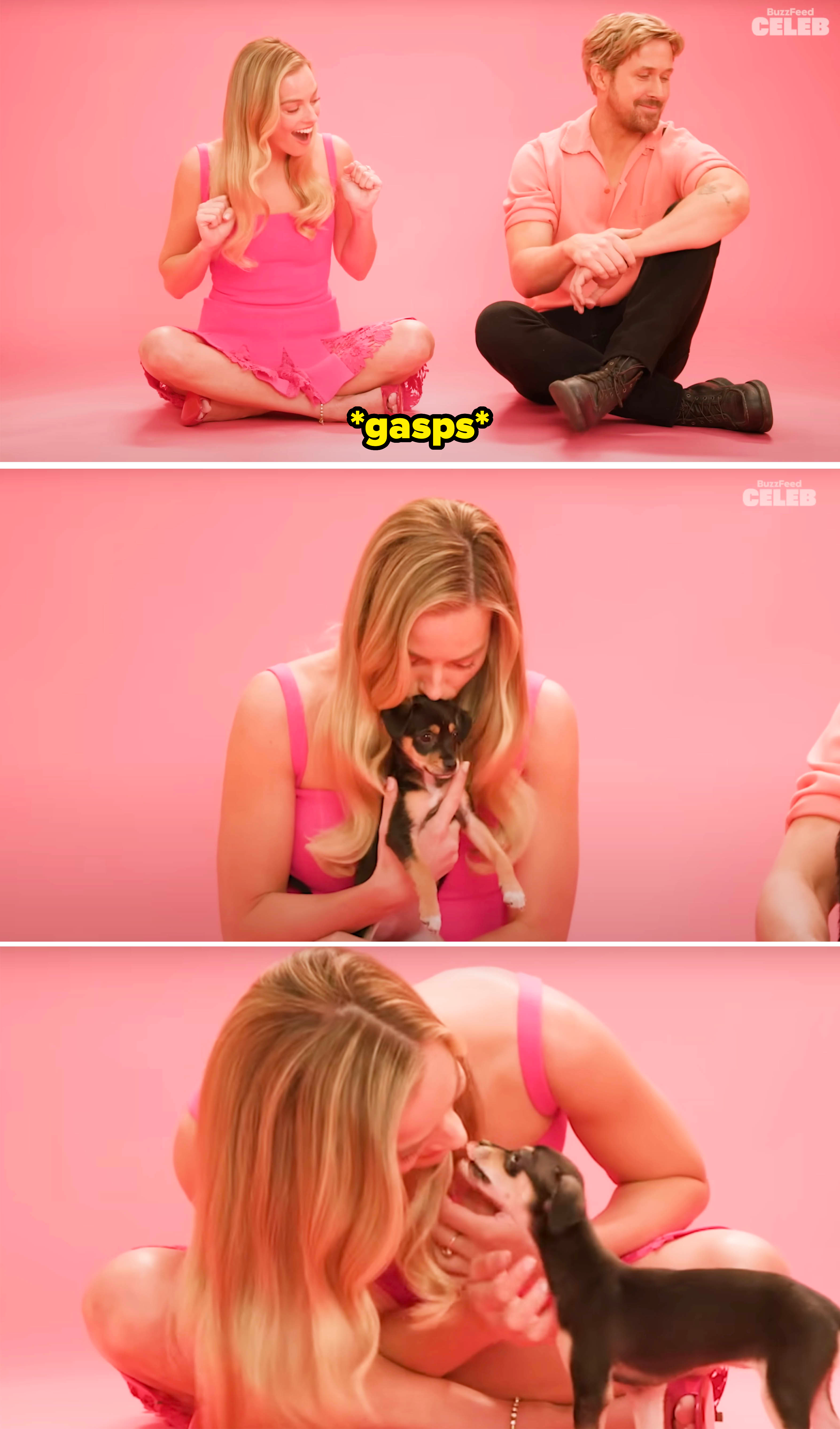 margot playing with puppies