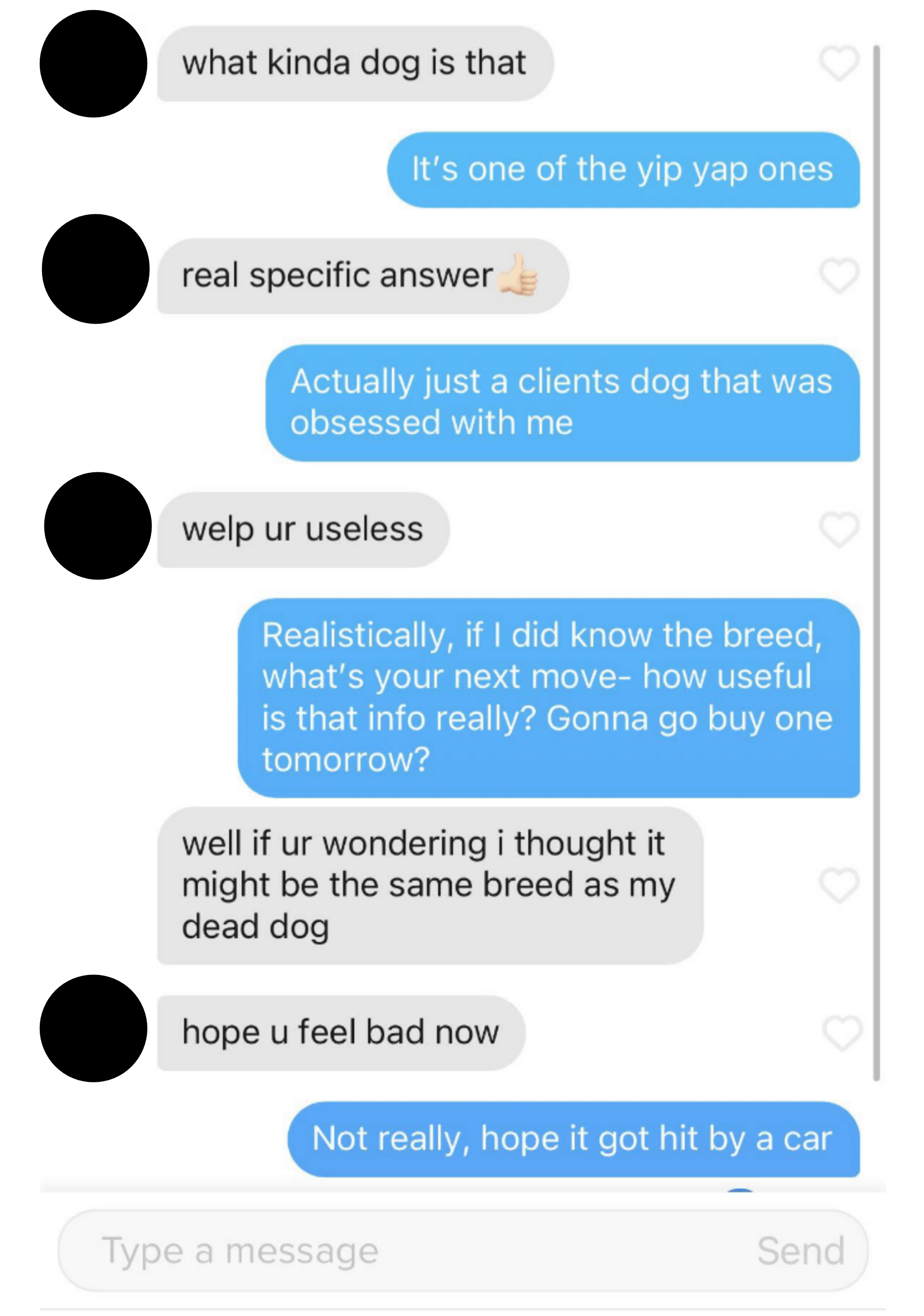 person asking what breed a dog was in a photo and saying it might be the same as their dead dog