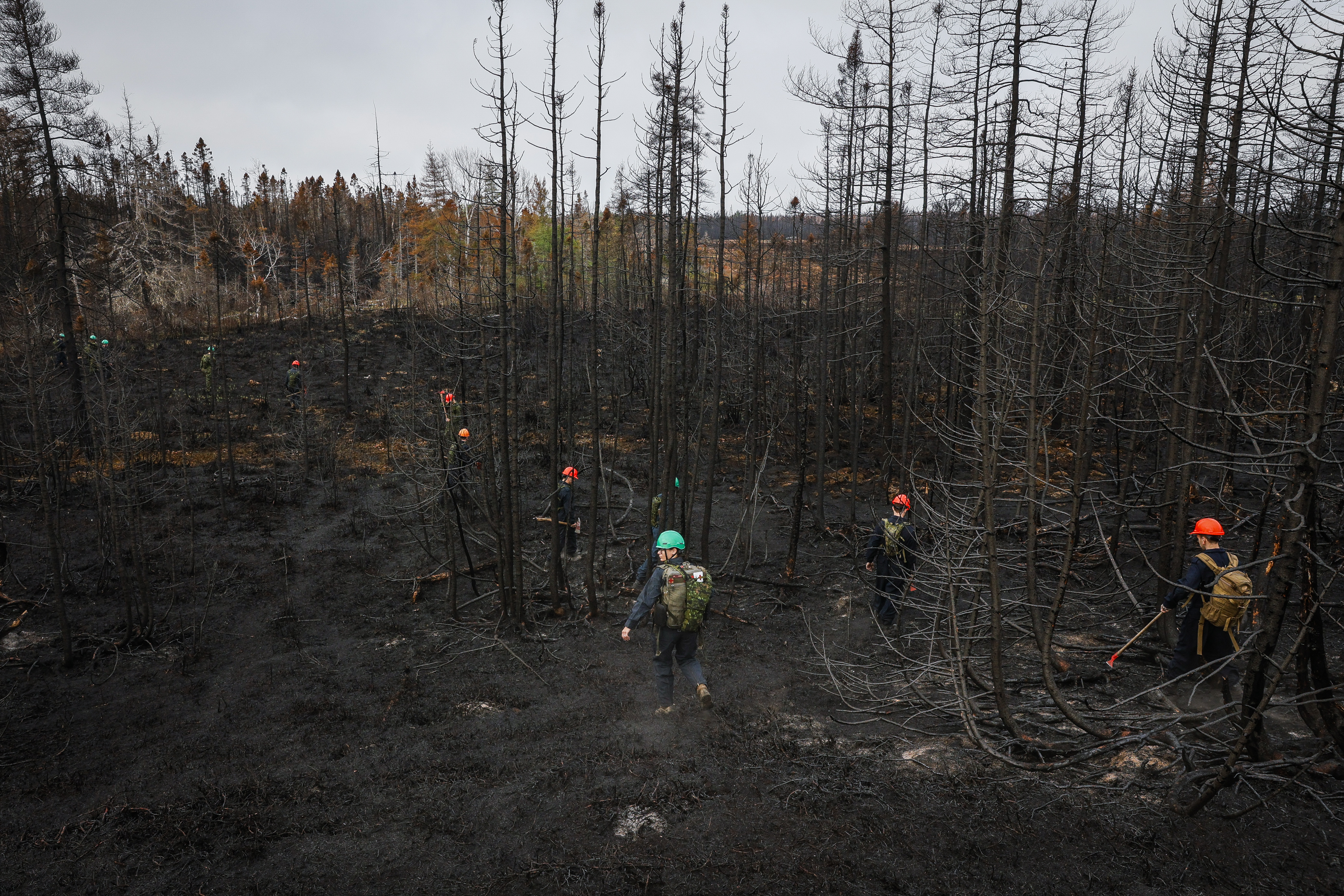 People walking through the burned remains of the woods in Canada
