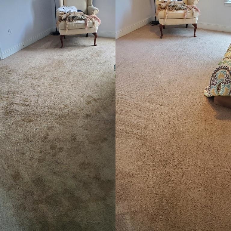 un-vacuumed carpet vs. vacuumed carpet