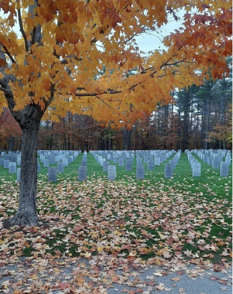 A graveyard with lots of autumn leaves on the ground, with a woody backdrop on the top half that looks like a different photo