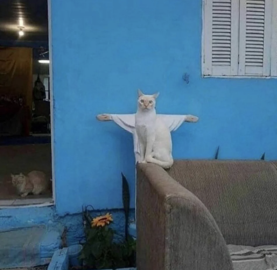 cat standing in front of a statue so it looks like it&#x27;s got arms spread out