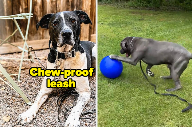 Pet Dog Toys For Aggressive Chewers Indestructible Fried Smell