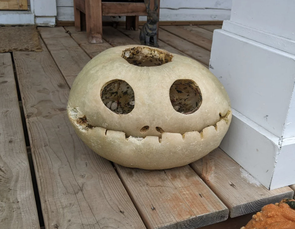 pumpkin face looks toothless and old