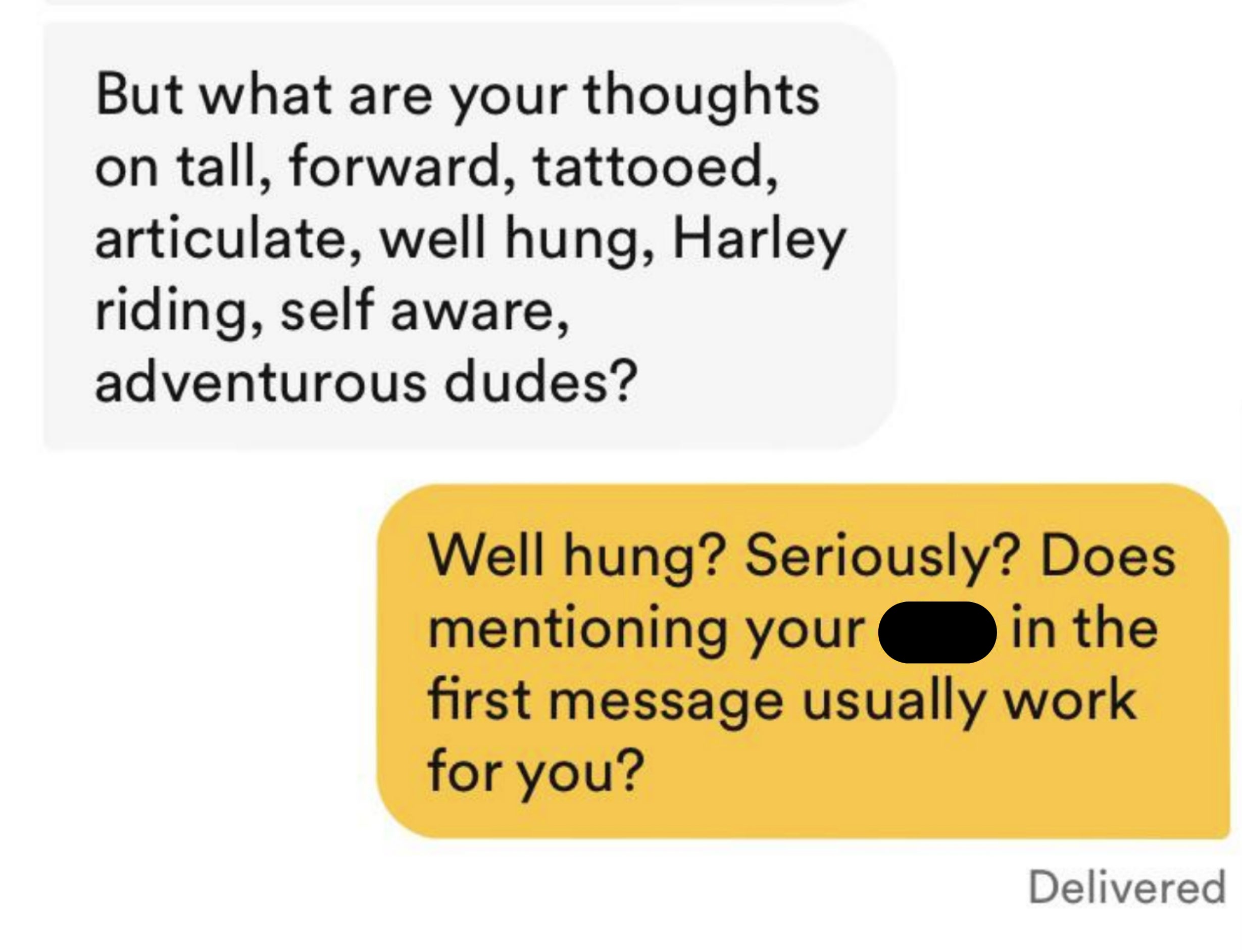 well hung, does mentioning your dick in the first message usually work for you
