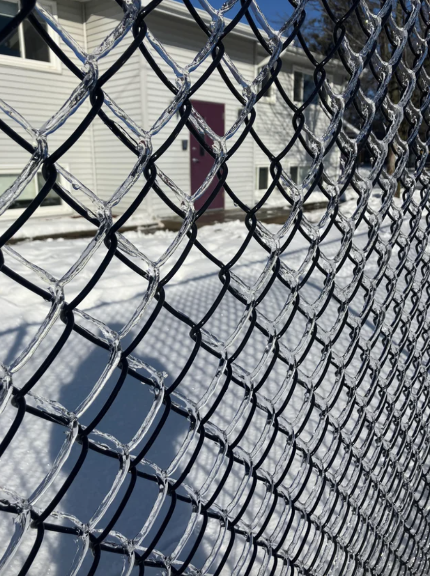 ice on the fence