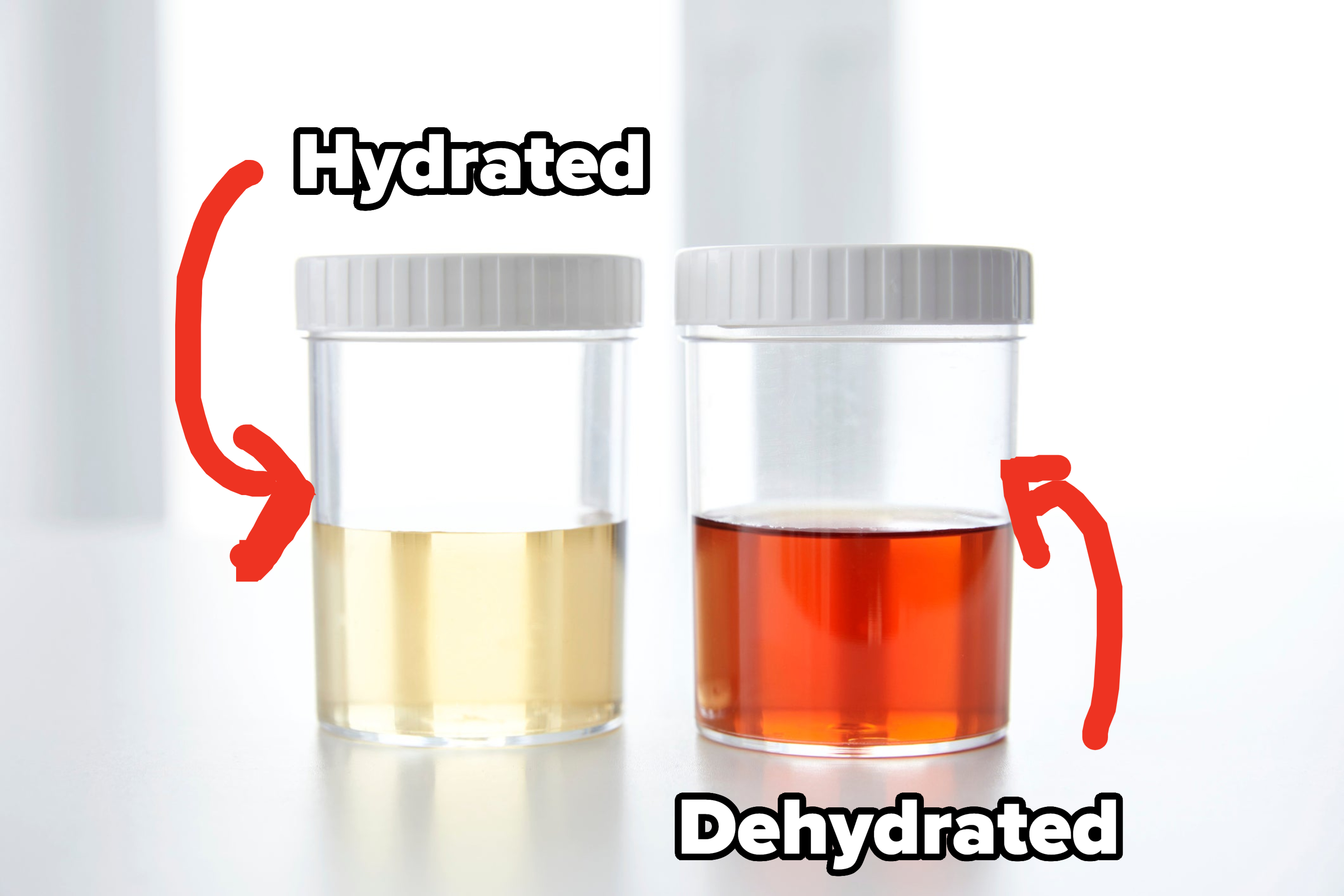 A glass with lighter liquid (marked &quot;hydrated&quot;) and another with rust-colored liquid (dehydrated)
