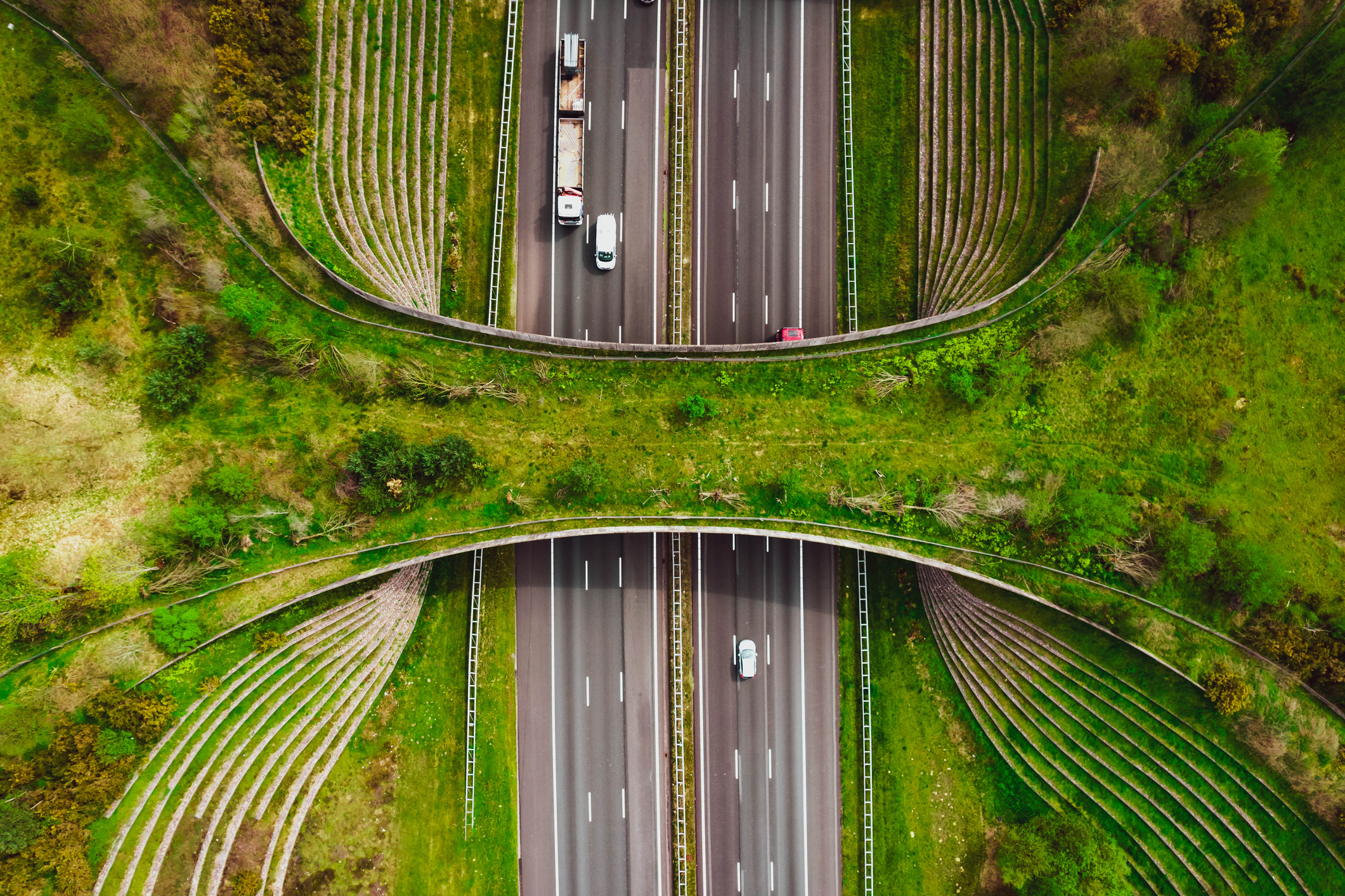 Overhead shot of a highway
