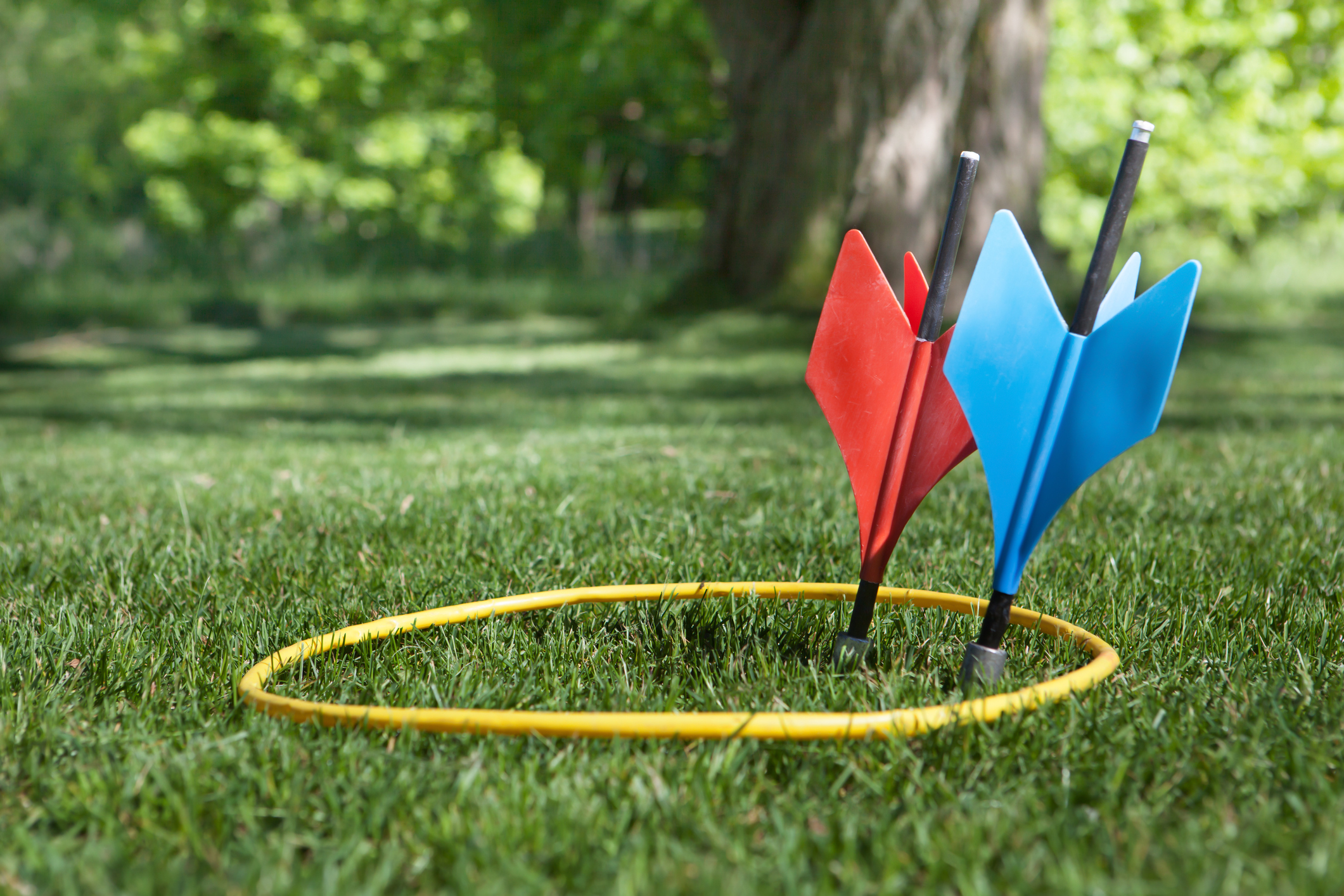 Lawn darts in the grass