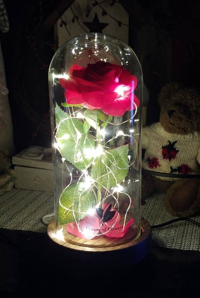 red rose with lights in a glass case
